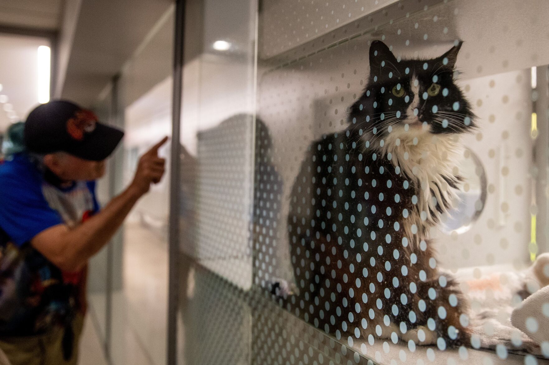 070221-owh-new-humanesociety-ar12